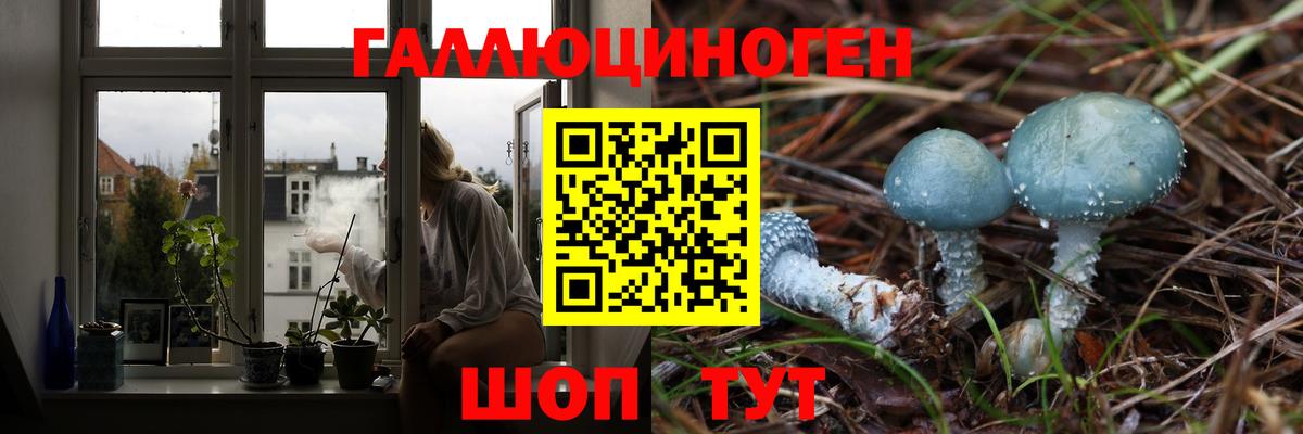 Шебекино  Галлюциногенные грибы Magic Shrooms  Вход с VPN 